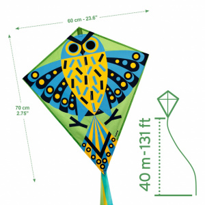 DJ02151-Zmeu Hiboo cu model bufniță colorată, Djeco