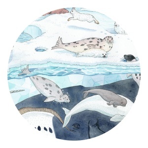 detaliu puzzle animale polare, Djeco
