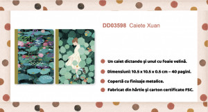 DD03598-Set carbet cu linii si carnet cu foi veline Xuan, Djeco