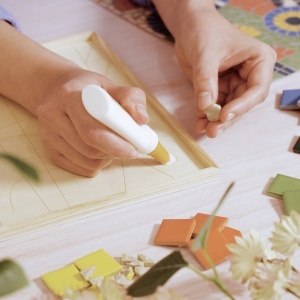 Materiale certificate FSC – lemn, carton și hârtie ecologică