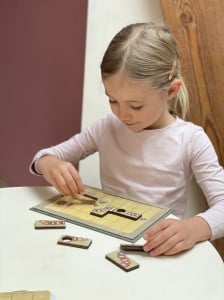 Joc Magnetic educativ Caterpillar - joc interactiv cu magneți pentru copii peste 3 ani