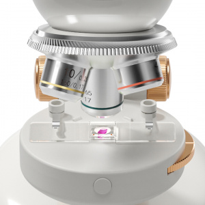 TB_160116 - Detaliu lamele cu mostre biologice văzute prin microscop, TopBright Science Can