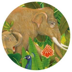 DJ07692 Puzzle galerie Ascuns in natura - 1000 piese