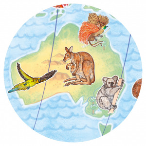 DJ07420-Puzzle observatie 6 ani Animalele lumii, Djeco
