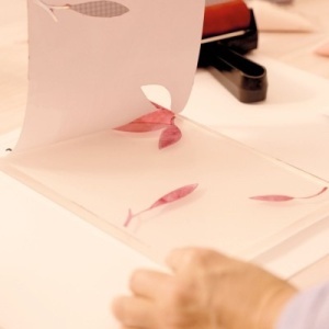 Activitate creativă relaxantă pentru acasă