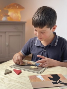 Joc educativ Tangram - activitate logică și creativă cu magneți