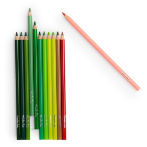 Le Botaniste Moulin Roty - set creativ cu creioane colorate și planșe de colorat