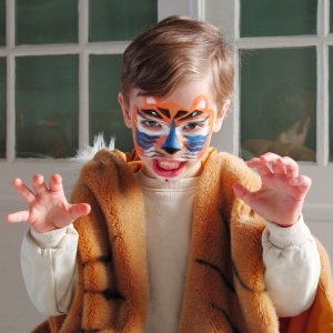 Set de face painting pentru copii cu fard metalic și strasuri