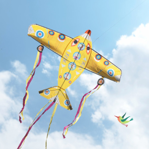DJ02161-Zmeu mare din poliester in forma de avion colorat, Djeco