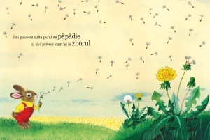 Carte Sunt un iepuraș - Despre natură, anotimpuri și copilărie