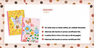 DD03591-Set 2 carnetele Rose, Djeco