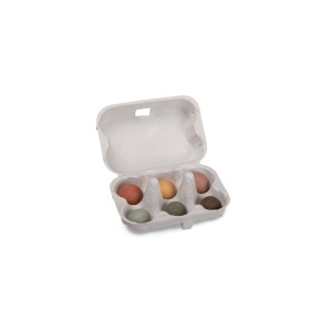 Set plantare flori pentru copii Moulin Roty