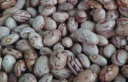 FASOLE BOABE COLORATA 500G