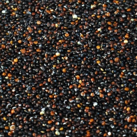 Quinoa neagră 100g