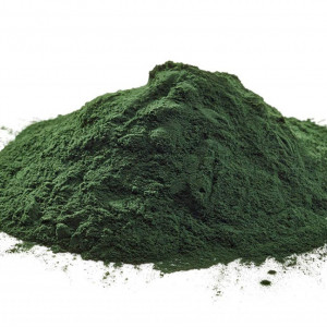 Chlorella pulbere 125g