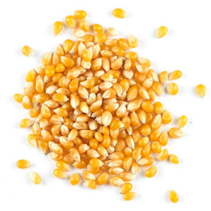 Porumb pentru popcorn 100g