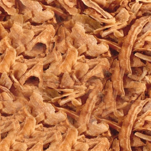 Ceapa fulgi prajita 100g