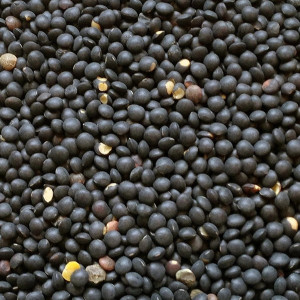 Semințe de linte neagră 250g