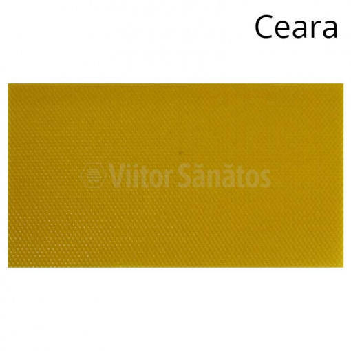 Faguri artificiali din ceara ETTA (1 kg)