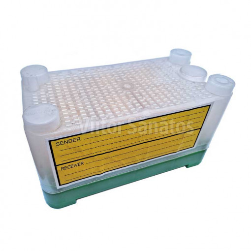 Dispozitiv securizat pentru transport 12 matci cu adapator