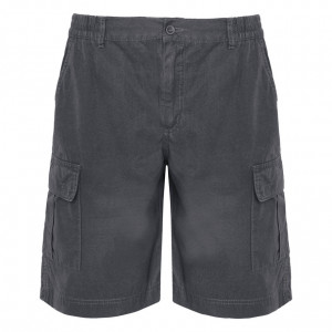 Къси панталони - BERMUDA SHORTS ARMOUR