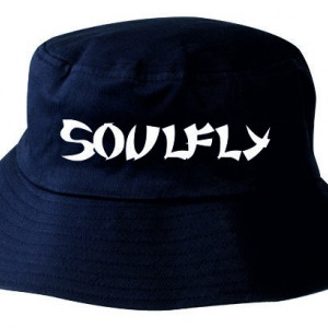 Шапка идиотка - Soulfly