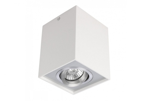 Spot aplicat ELOY 1 Alb/Aluminiu
