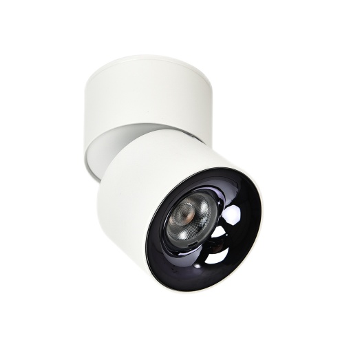 Spot aplicat Brema alb LED CCT