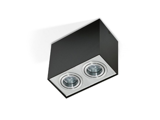 Spot aplicat ELOY 2 Negru/Aluminiu