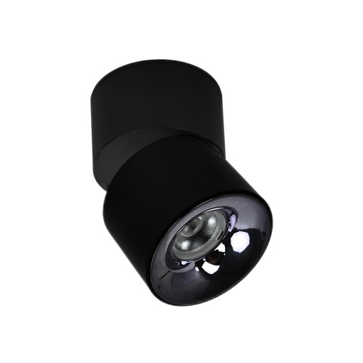 Spot aplicat Brema Negru LED CCT
