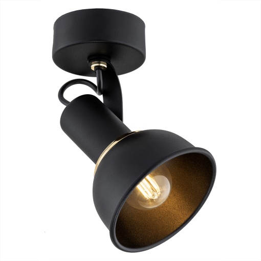 Aplica perete 1 bec TWIST A4900