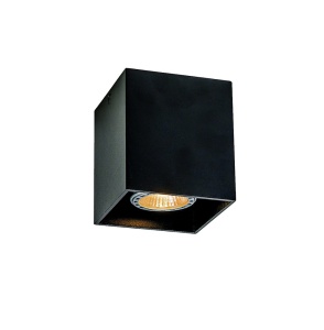 Spot aplicat GU10 Dice 4144101