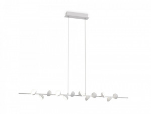 Lustra alba ADN -6262