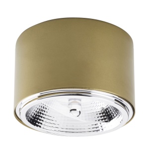 Spot aplicat Auriu 1xGU10 MORIS 3349TK