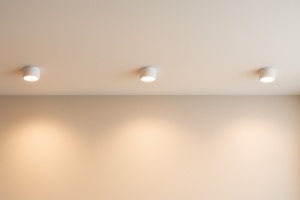 Spot K-5471 - HORN - Img 3