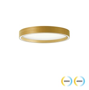 Plafoniera LED 3000K-4000K Vanessa 4292701