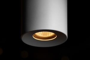 Spot K-5131 - HORN - Img 2