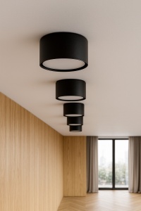 Spot K-5470 - HORN - Img 3