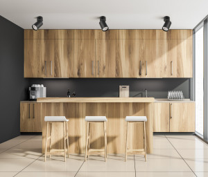Spot aplicat, Spot aplicat negru, Spot aplicat modern negru, Spoturi aplicate, Spot de interior, Spot modern, Spot aplicat modern, Spot modern negru, Spot modern aplicat, Spot dormitor, Spot living, Spot aplicat bucatarie, Spot aplicat interior, Spoturi i