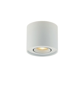Spot aplicat GU10 Arion 4260800