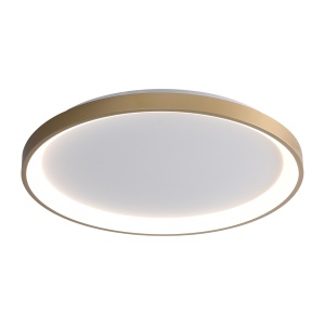 Lustra Raden Auriu 1 x LED