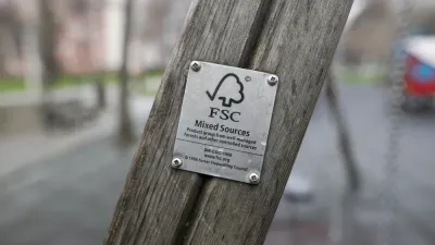 Ce înseamnă FSC si ce eforturi facem pentru un viitor mai verde?