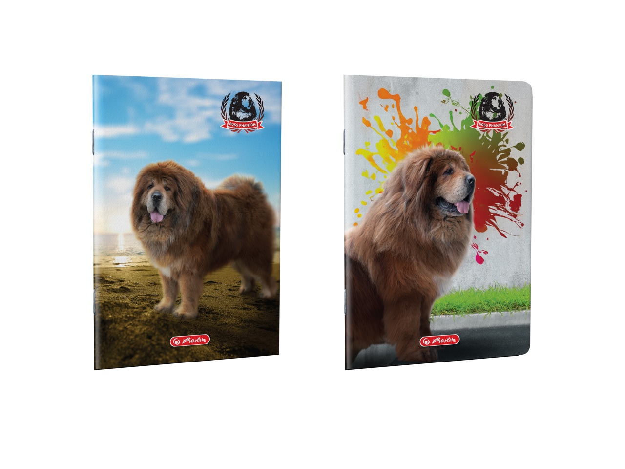 HOT Tibetan Mastiff Olx Hot Tibetan Mastiff Olx Top Sellers