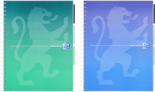 Oxford Project Book, A4 80 file, hartie Optik 90g/mp, spira dubla, scribzee, patratele, gradient classic mix culori