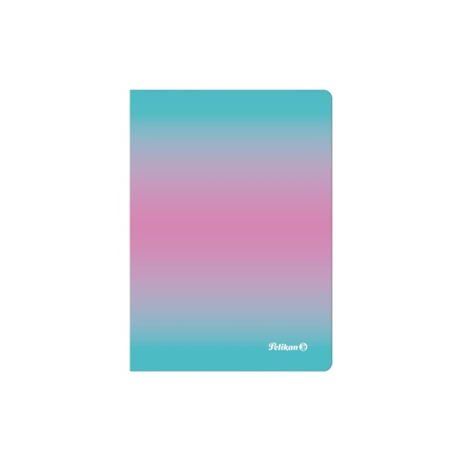 Caiet A6, 80 file patratele, Color Edition, culoare roz / menta