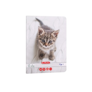 Caiet A5 Tip I, 36 file, motiv Cats & Dogs - Img 5