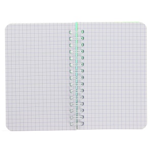 Carnet Oxford Lagoon, 9x14 90 file, spira dubla, hartie Optik 90g/mp, patratele, mix culori - Img 10