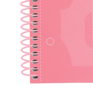 Caiet Oxford Europeanbook 1 Touch A4+ 80 file, Write & Erase, scribzee, patratele - Img 6