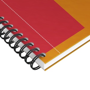 Agenda organizator Oxford International Notebook, A5+ 80 file, hartie Optik 90g/mp, spira dubla, scribzee, dictando, culoare portocaliu - Img 8