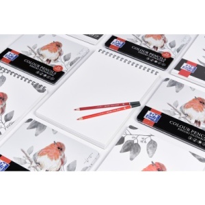 Bloc desen Drawing A3, 40 file, hartie 160g/mp, colectia Oxford Artistic - Img 6